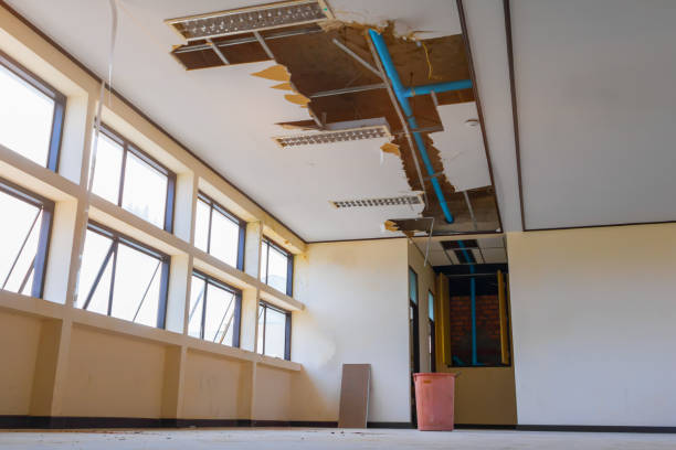 Best Water damage restoration near me  in Trexlertown, PA