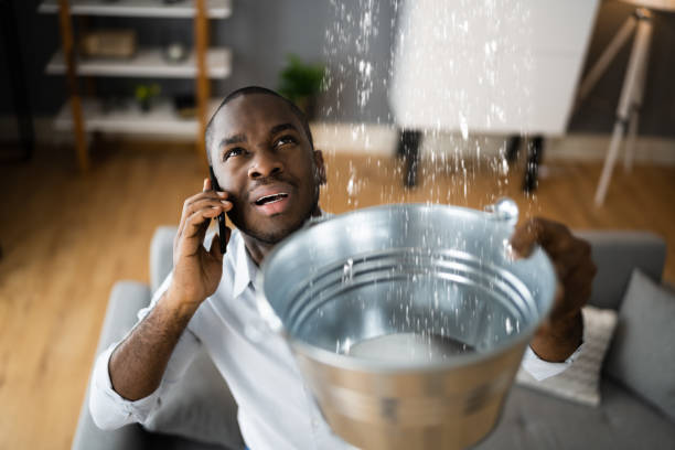 Best Water damage contractors near me  in Trexlertown, PA