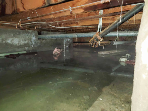 Best Residential water damage restoration  in Trexlertown, PA