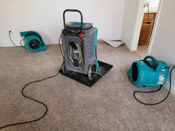 Sewage cleanup and water damage restoration in Trexlertown, PA