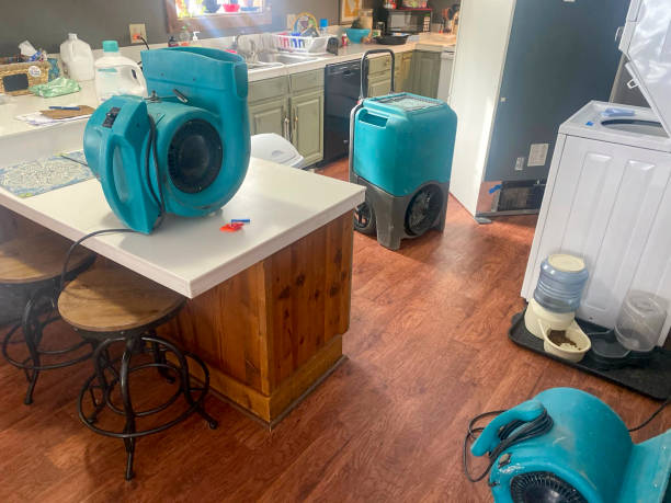 Best Mold removal after water damage  in Trexlertown, PA