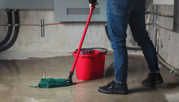 Best Flood restoration services  in Trexlertown, PA