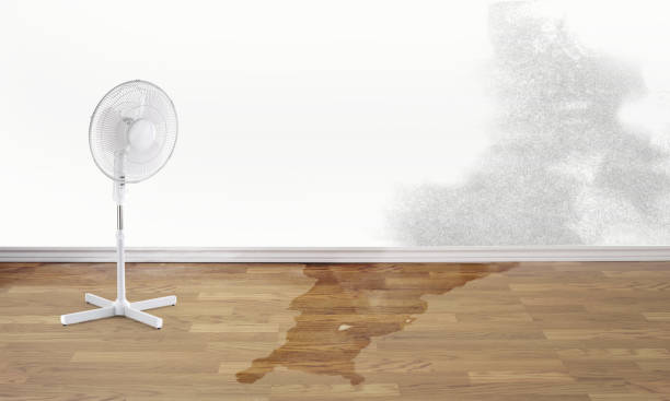 Best Ceiling water damage repair  in Trexlertown, PA