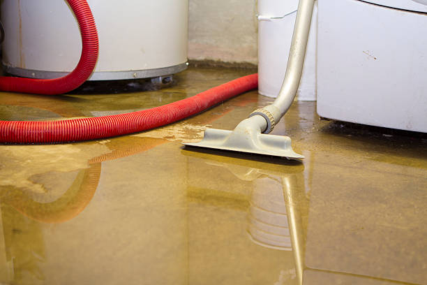 Best Commercial water damage restoration  in Trexlertown, PA