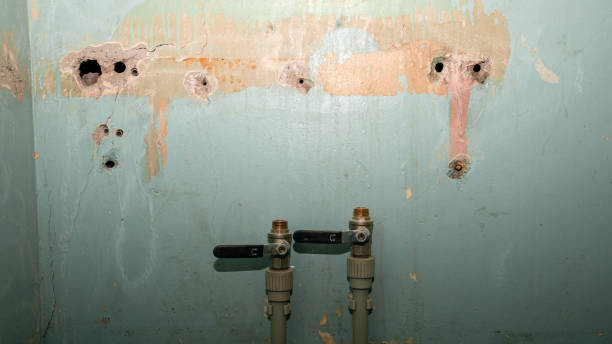 Best Professional water damage repair  in Trexlertown, PA