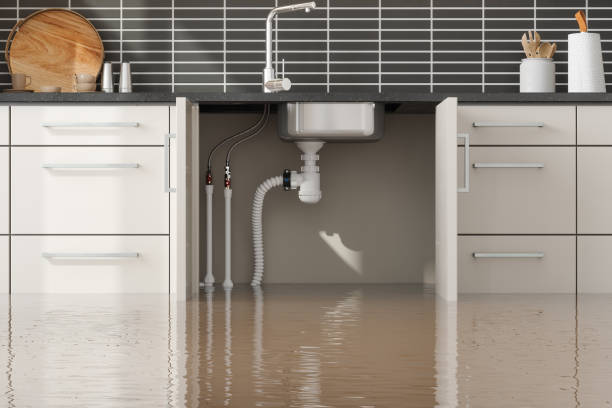 Trexlertown, PA Water damage restoration Company