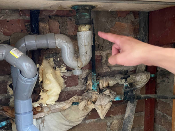 Best Flood damage cleanup  in Trexlertown, PA