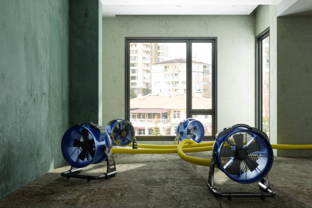 Water damage restoration insurance claims in Trexlertown, PA